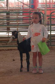 lana with her nubian dairy goat