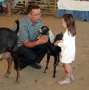 pee wee showmanship for nubian dairy goats