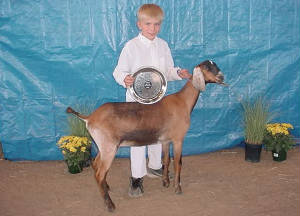 justin with his nubian dairy goat